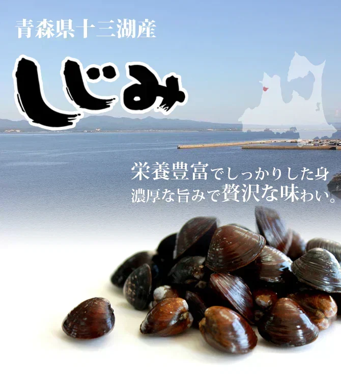 青森県十三湖 冷凍しじみ中粒 1kg  （ヤマトシジミ） 砂抜き不要