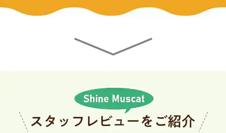 アレンジルイボスティー　シャインマスカット　カップ用３０個入（グリーンルイボスティー ティーバッグ ノンカフェイン ハーブティー）