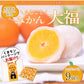 9個入り まるごと みかん 大福 和菓子 高級 ギフト お取り寄せ まるごと ミカン 大福 9個 送料無料 プレゼント 熊本県産 小玉 みかん使用 スイーツ お菓子 白あん 手土産 冷凍　《7-14日営業日以内に出荷予定(土日祝除く)》