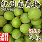 (6月上旬から順次発送の予約販売) 青梅 訳あり 3ｋｇ 生梅 訳あり S〜2Lサイズ 和歌山県産 朝取り 送料無料 高級ブランド 人気 サイズ混合