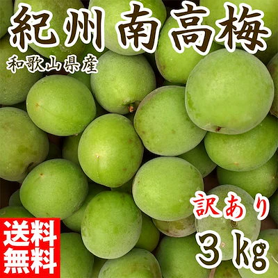 (6月上旬から順次発送の予約販売) 青梅 訳あり 3ｋｇ 生梅 訳あり S〜2Lサイズ 和歌山県産 朝取り 送料無料 高級ブランド 人気 サイズ混合