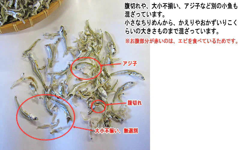 広島 訳あり 少し柔らかめ ちりめんじゃこ 200g 広島産 無添加 無選別 大きめ わけあり 国産 メール便限定 ぽっきり ポッキリ カタクチイワシ