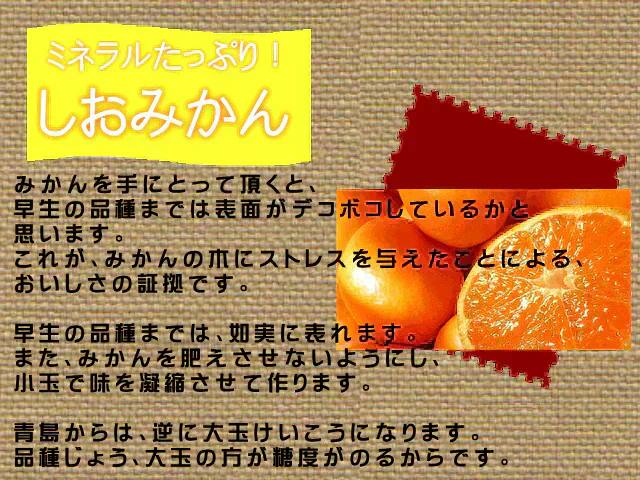 しおみかん  5kg みかん 熊本産 訳あり ご家庭用 80サイズ