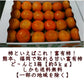 【11月上旬より順次発送予定】富有柿 訳あり 1箱(約5kg) S〜3Lサイズ 送料無料