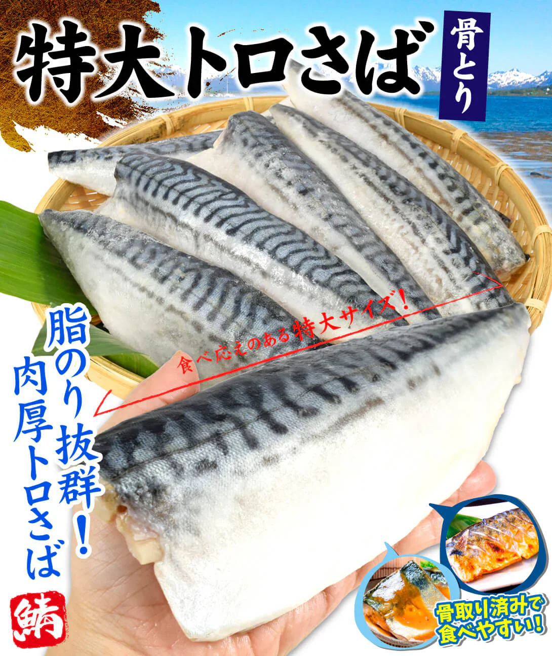 さば 骨取り特大トロさば 約1kg ノルウェー産（約6切前後入り）【2025年1月中旬より発送】
