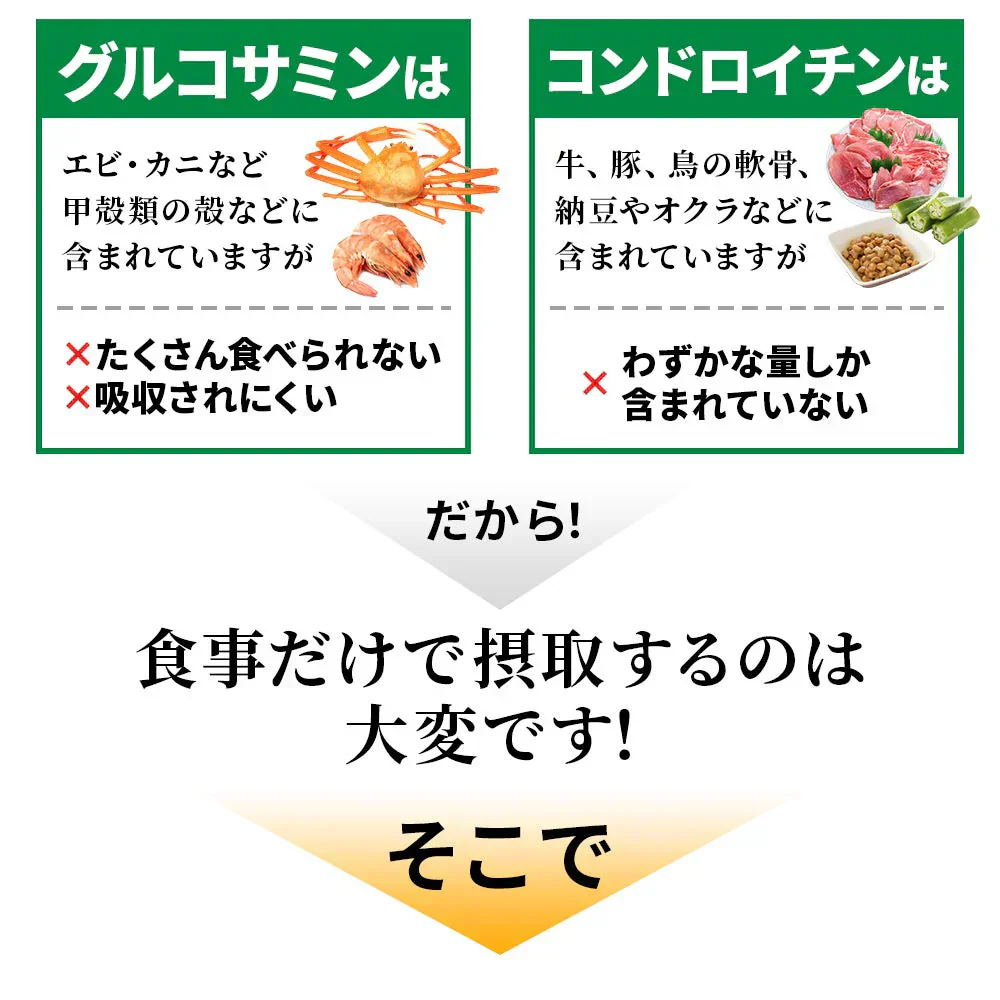 2型コラーゲン配合グルコサミン＆コンドロイチン＆MSM《約12ヶ月分》 サプリ サプリメント 健康 グルコサミン グルコ コンドロイチン msm フィッシュ コラーゲン【大容量】