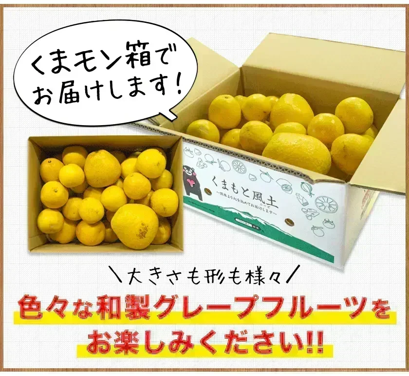 河内晩柑 送料無料 1.5kg 和製 グレープフルーツ 旬 の フルーツ 果物 みかん 訳あり 夏文旦 晩柑 宇和ゴールド ジューシーみかん 熊本県産 《1-5営業日以内に発送予定(土日祝日除く)》