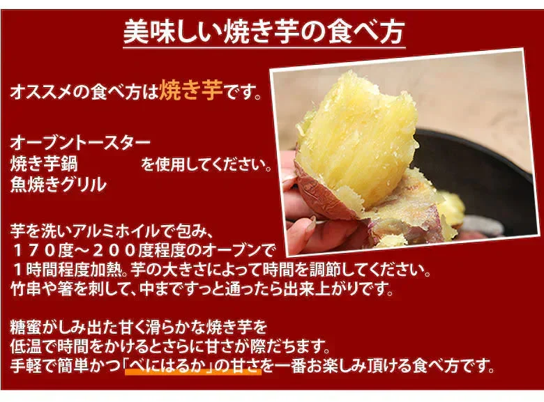 【10月中旬～下旬頃より順次出荷】さつまいも 紅はるか 訳あり 10kg 箱込（内容量9kg＋不良補償分500g) 送料無料 無選別 べにはるか 熊本・宮崎県産 サツマイモ 紅蜜芋 焼き芋 芋 いも