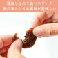 【種なし】梅干し 個包装 赤しそ入り 塩分補給 90g ／しそ梅ちゃん うめぼし 干し梅 梅菓子 お菓子 おやつ おかし 梅 梅干 持ち運び お茶うけ お茶 非常食 子供 大人 熱中症対策 種無し干し梅