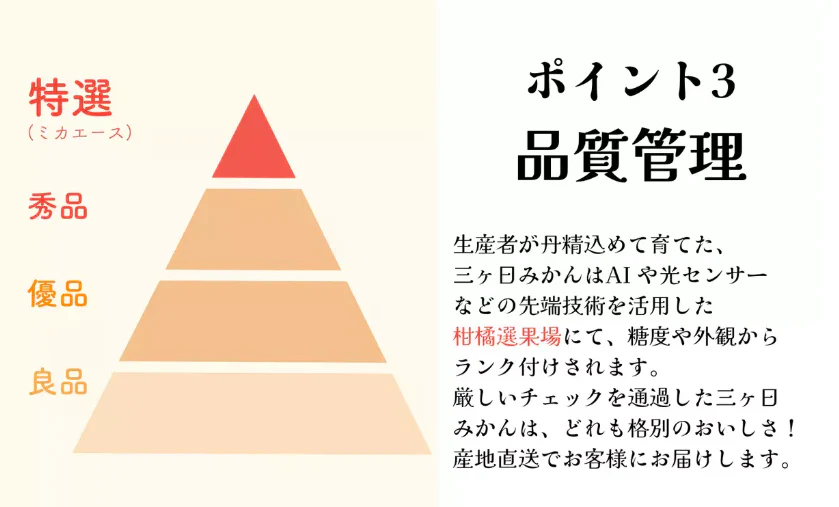 【日本三大みかん！三ケ日みかん！4㎏！】豊洲市場仕入れ　ブランドみかん