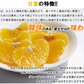 甘夏 5kg みかん 蜜柑 ご家庭用 箱買い サイズミックス あまなつ 柑橘 フルーツ 果物 産地直送 愛媛県産 YDF-013