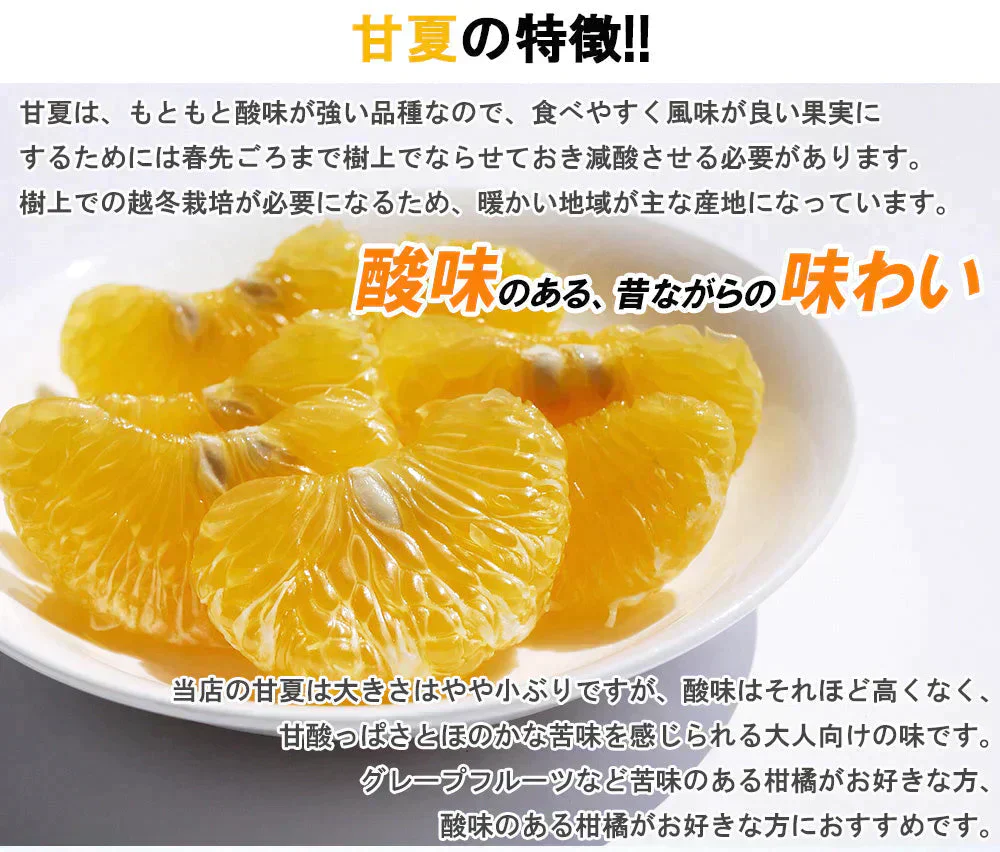 甘夏 5kg みかん 蜜柑 ご家庭用 箱買い サイズミックス あまなつ 柑橘 フルーツ 果物 産地直送 愛媛県産 YDF-013