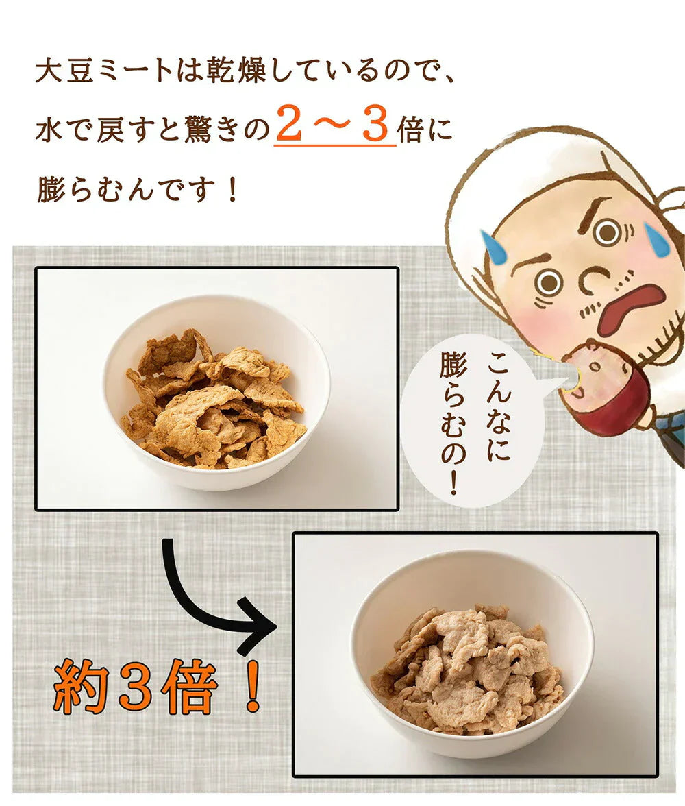 雑穀 雑穀米 国産 大豆ミート(フィレ) 1kg(250g×4袋) 送料無料
