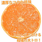 せとか みかん 送料無料 ハウス栽培 秀品 2kg 希少品種 熊本県産 蜜柑 清見 アンコール マーコット