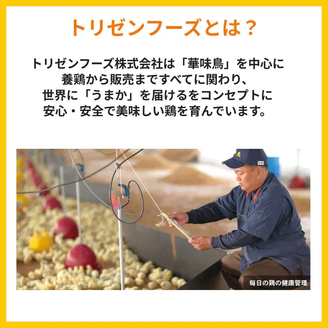 博多華味鳥　水たきオリジナルセット（40FYR)