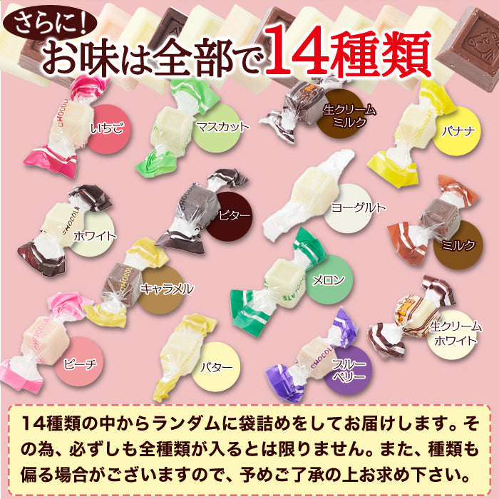 ジャージーミックスひとくちチョコレート200g /ネコポス送料無料