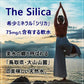 【1本74.6円】シリカ天然水  The Silica 500ml 48本(24本×2箱)【送料無料】ミネラルウォーター 国産 ケイ素水【ゲリラセール】