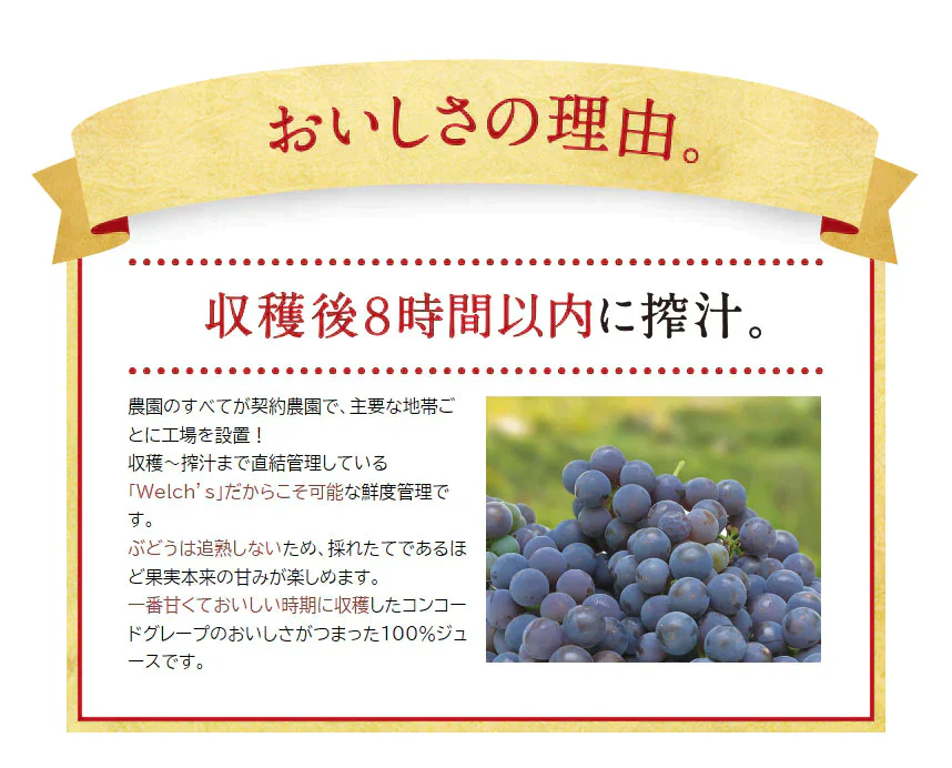 【期間限定品：29%OFF特価！】まとめ買い［1,165円/1ケース］アサヒ飲料 ウェルチ ドリンク ギフト Welchi's ギフト W15 6ケース [160g × 12本/1ケース] グレープ オレンジ アップル [本州は送料無料]