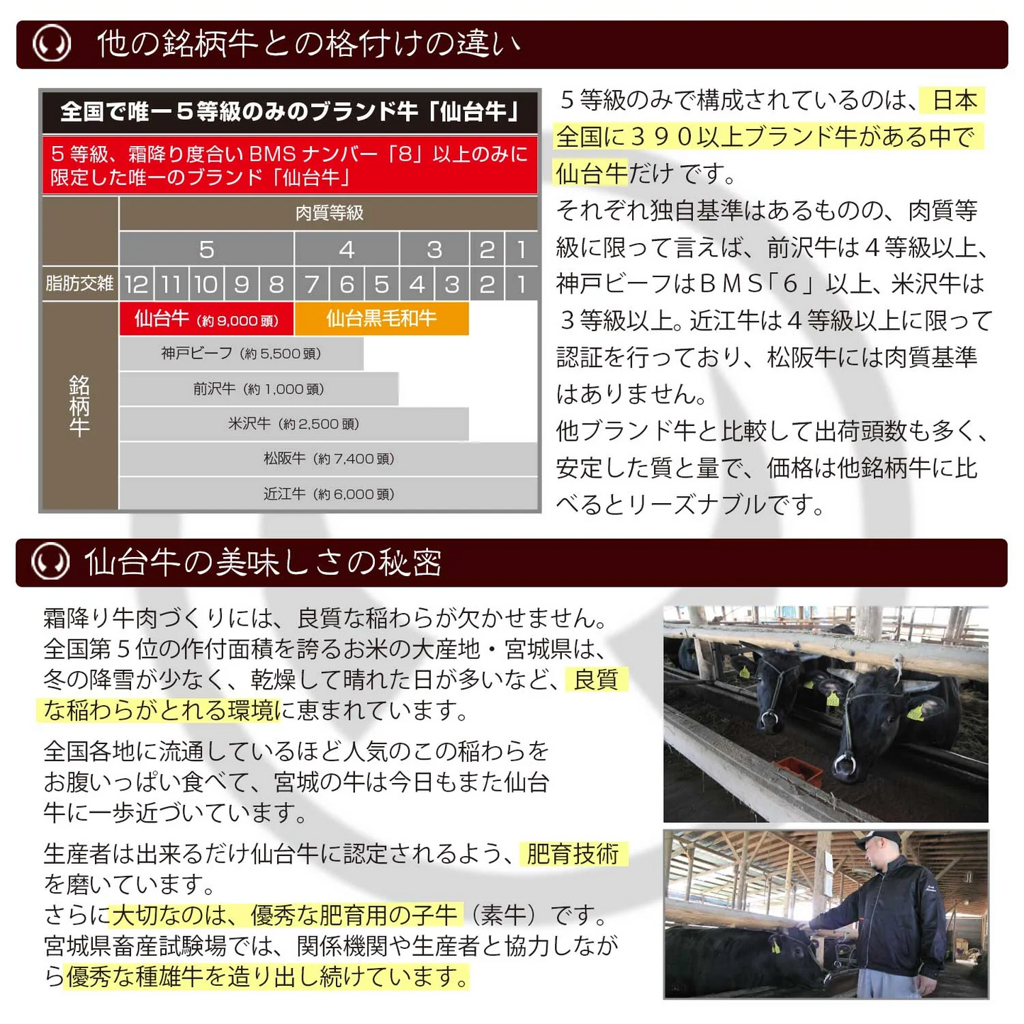 仙台牛 最高級 A5ランク ランプステーキ 9枚（100～120g/枚） [ ブランド牛 牛肉 焼肉 母の日 父の日 お歳暮 御歳暮 お中元 御中元 ギフト 贈答 お祝い 御祝 内祝い お取り寄せ 仙台 名物 宮城 ご当地 グルメ ][冷凍配送]
