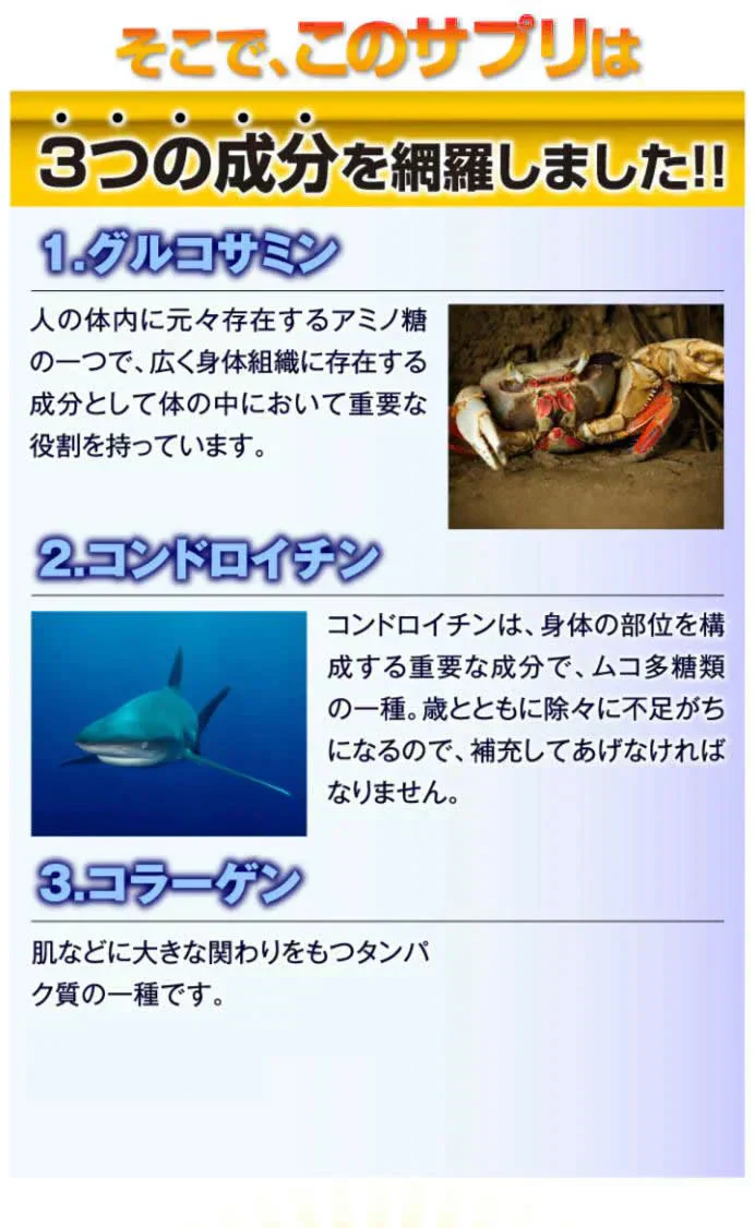 約半年分たっぷり大容量グルコサミン+コンドロイチン+コラーゲン540粒