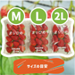 和歌山県産 まりひめ いちご M〜2L ４パック（250g×4パック）和歌山 紀の川市 ブランド 苺 イチゴ 送料無料 贈答 産地