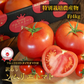 【特別栽培農産物】＼訳あり／ソムリエ トマト 4～5kg（18玉～36玉)ダイヤのオマケ付き
