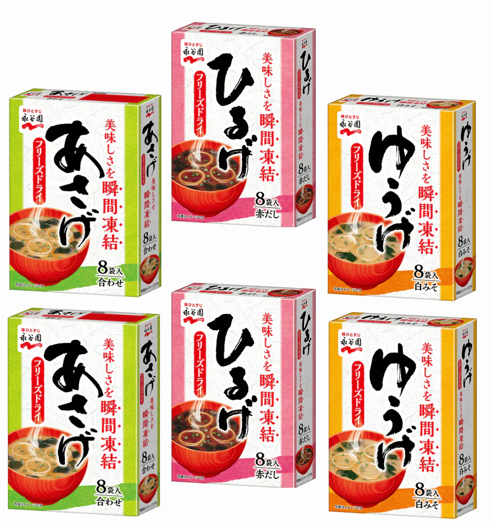【50周年特別企画50組限定】 インスタント味噌汁 即席みそ汁 永谷園 フリーズドライ 顆粒タイプ 3種 48食 あさげ ひるげ ゆうげ 関東圏送料無料