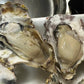 【生食OK】兵庫県産 殻付き牡蠣 冷凍 3kg 約50殻/冷凍クール便