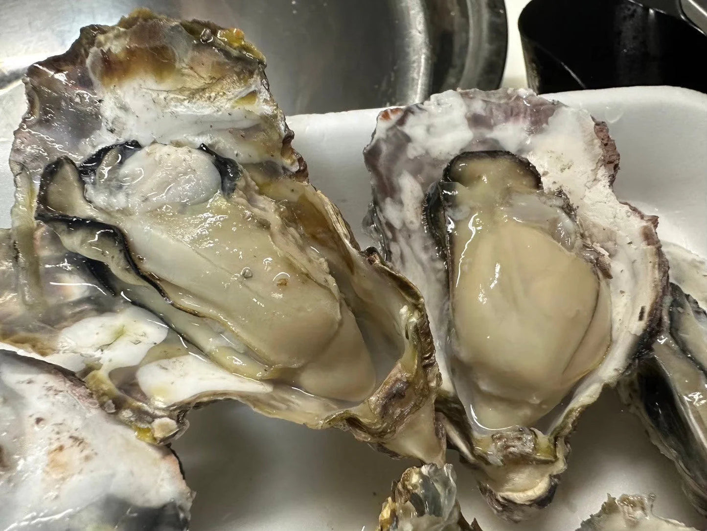 【生食OK】兵庫県産 殻付き牡蠣 冷凍 3kg 約50殻/冷凍クール便