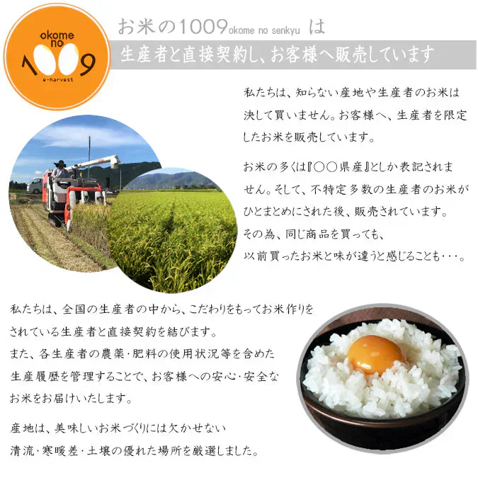 米 滋賀県彦根産 にこまる 白米 10kg 西村悟 令和7年産