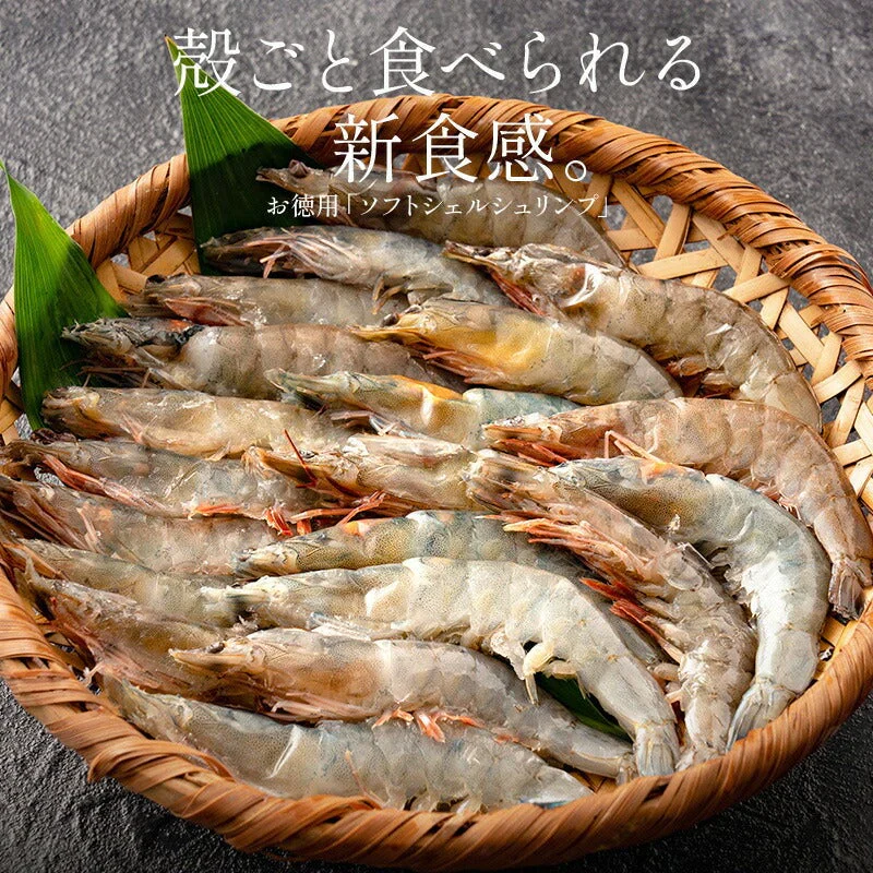 ソフトシェル シュリンプ 500g 20〜25尾 殻付き えび 冷凍えび バナメイえび 海鮮 冷凍 海老 まとめ買い 大量 贈答 エビ おすすめ バナメイ［送料無料］