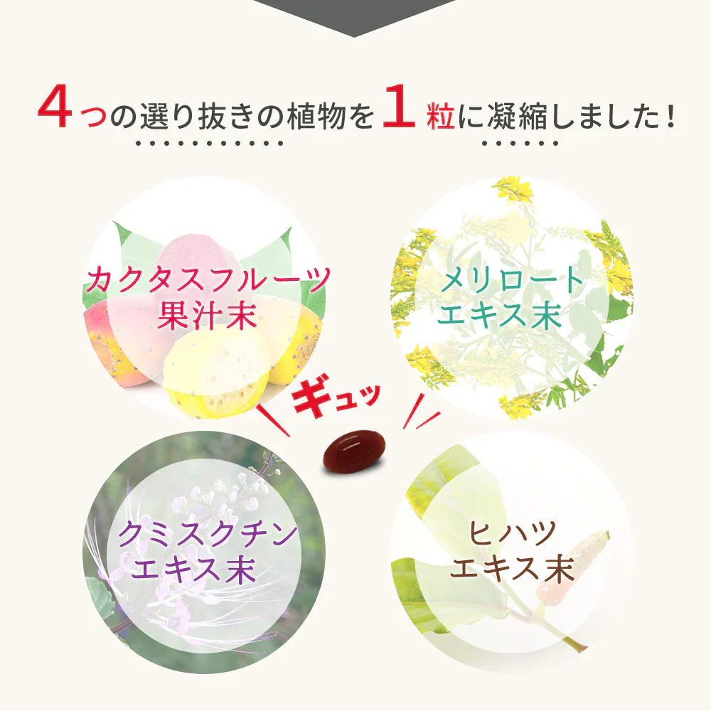 スラキュット《約3ヶ月分》サプリサンダル サプリ サプリメント カクタスフルーツ クミスクチン ヒハツ メリロート ダイエットサプリ ダイエット【大容量】