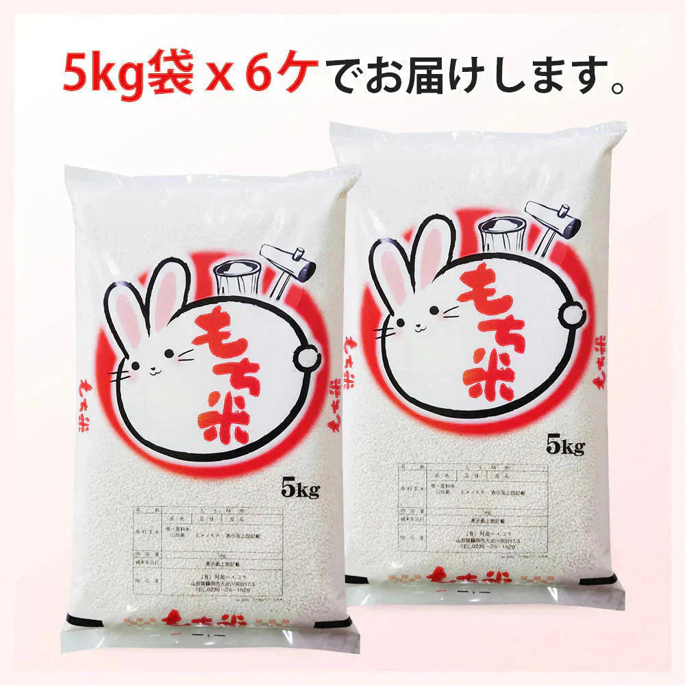 もち米 30kg (5kg×6袋) 山形県産 ヒメノモチ 令和7年産 餅米 国内産 新米