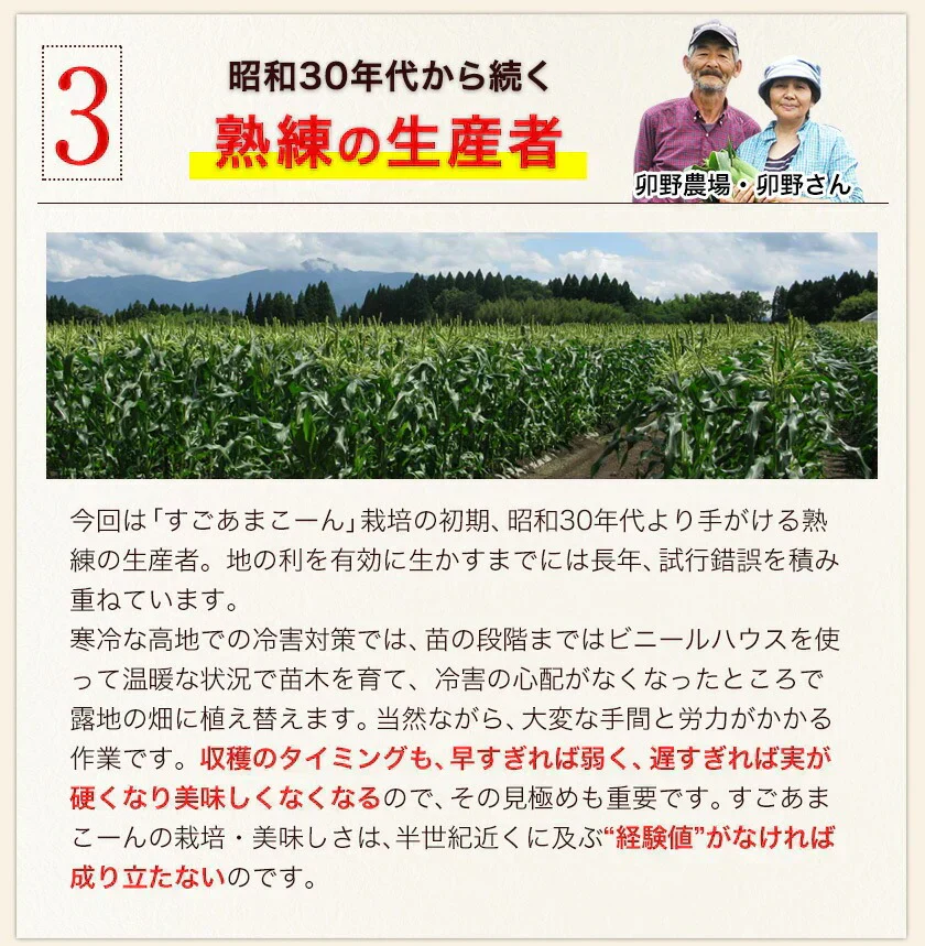 【TVで紹介】とうもろこし 卯野農場 すごあまこーん 12本入り 【3L~Lサイズ / 約3.6kg-4.8kg前後】  朝採り スイートコーン 《7-14営業日以内に発送予定（土日祝除く）》