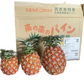ピーチパイン　3ｋｇ（3〜8本）　西表島産　アララガマ農園　ソフトタッチ　ミルクパイン　パイナップル　パイン　80サイズ