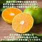 みかん　極早生　2ｋｇ　ｆ極０2　家庭用　中玉　愛媛　吉田みかん　果物　フルーツ　柑橘