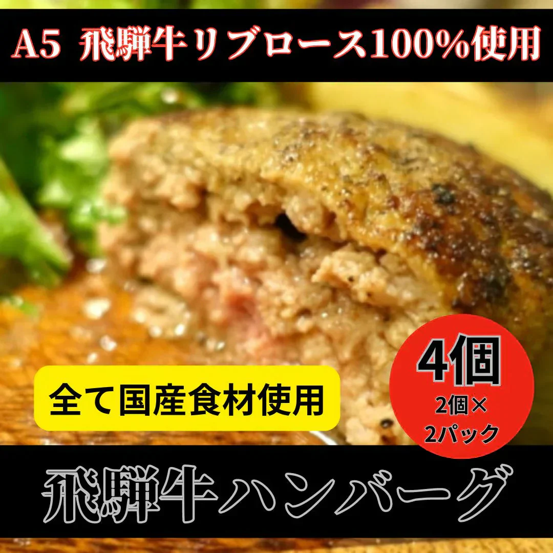 A5飛騨牛 生ハンバーグ100％リブロース使用 4個（2個×2パック）