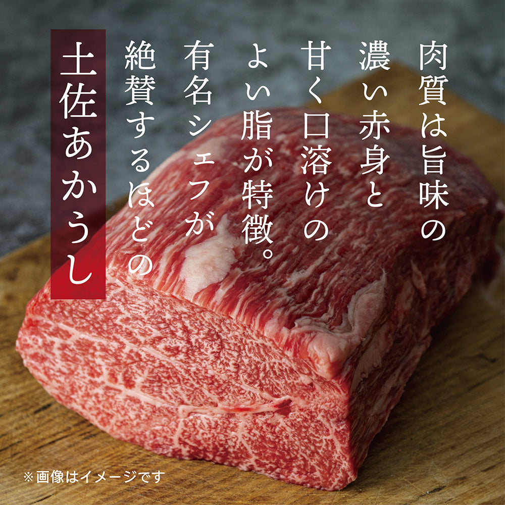 【送料無料】 土佐あかうしビーフカレー　160g×30袋 高知 レトルト 土佐あかうし ビーフカレー 特産