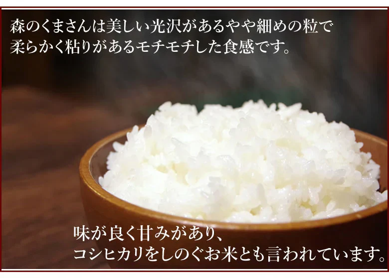 森のくまさん 米 送料無料 10kg(5kg×2) 令和5年産 新米 熊本県産 白米 お米 こめ 新米 ひのひかり こしひかり