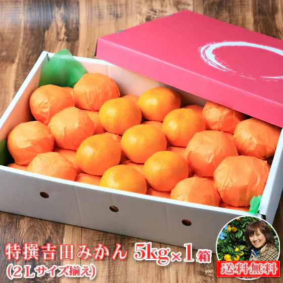みかん　特撰　吉田みかん　５ｋｇ　特撰０５　贈答用　精品　中玉　２Ｌサイズ揃えで３５玉前後　化粧箱入　特撰包装　ミカン　蜜柑　フルーツ　果物　柑橘　贈物　贈答　お歳暮　送料無料