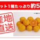 【最安値挑戦祭】みかん 5kg 送料無料 愛媛 みかん 温州みかん ミカン 蜜柑 安い 甘い 箱買い 産地直送 愛媛県産 YDF-00