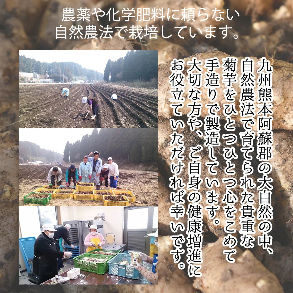 【30g】10袋入り 無添加 菊芋茶きくいも 国産 送料無料 熊本県産 無農薬 自然農法 JASオーガニック規格 イヌリン 食物繊維