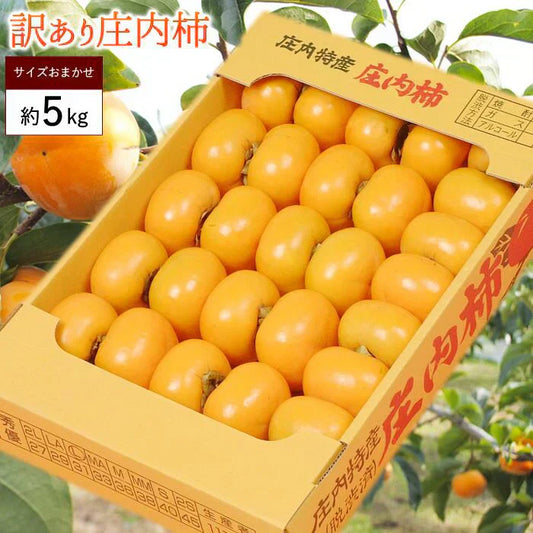 【10月下旬-12月上旬頃ご注文受付順次】訳あり庄内柿約5kg平箱詰めサイズ未定（25-40玉前後）庄内 訳あり 柿 かき カキ 種なし 種無し柿 産直 山形 フルーツ 果物 ふるーつ くだもの お取り寄せ ご当地 名産品 特産品