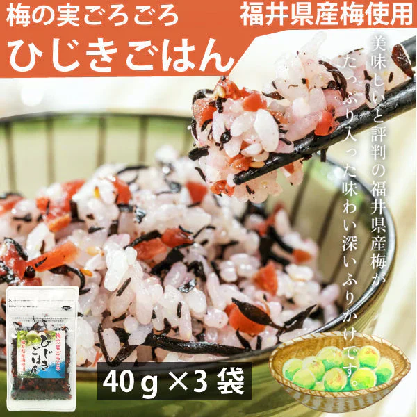 カワモト 梅の実ごろごろひじきごはん 40g×3袋 メール便　送料込