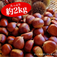 利平栗 訳あり  1箱(2kg)  L〜2Lサイズ 熊本産 クール便【ゲリラセール】　60サイズ