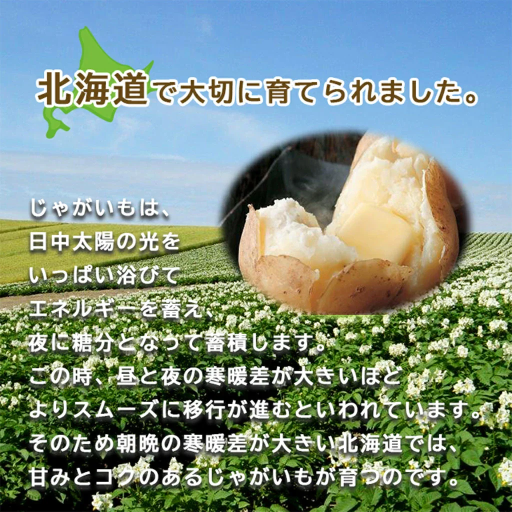 【終了】【10月中旬より順次出荷予定】剣淵産 男爵・レッドムーン 5㎏