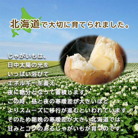 【終了】【10月中旬より順次出荷予定】剣淵産 男爵・レッドムーン 5㎏