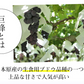 【7月下旬～8月上旬頃より順次出荷】ぶどう 巨峰 送料無料 2kg バラ・房混合 福岡・熊本県産 きょほう 葡萄 黒ぶどう 藤稔 ピオーネ