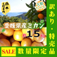 愛媛県産 みかん 大粒ちゃん 15kg 訳あり家庭用 柑橘