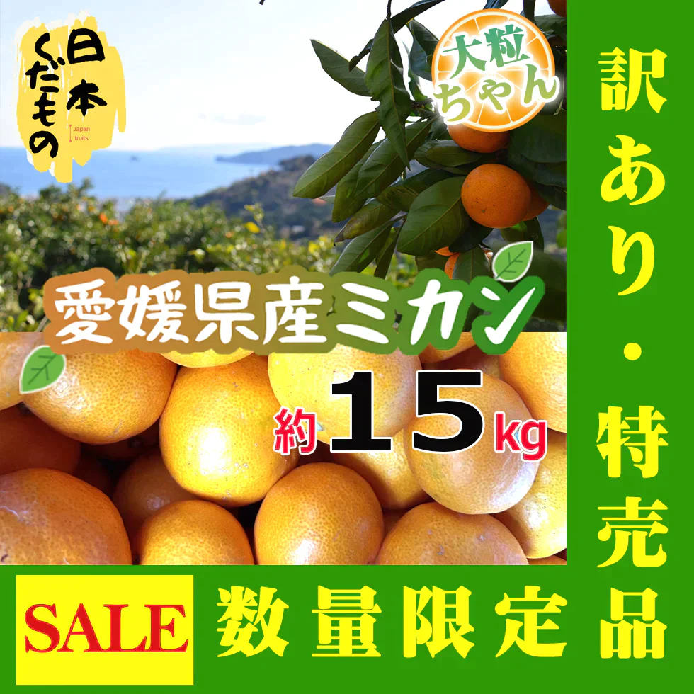 愛媛県産 みかん 大粒ちゃん 15kg 訳あり家庭用 柑橘